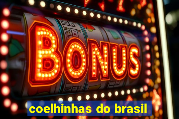 coelhinhas do brasil